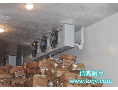 湖北老鬼魚餌2000立方低溫冷庫(kù)工程建造方案