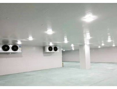 廣東完美400㎡日用品恒溫庫、冷藏庫（防爆冷庫）工程建造方案