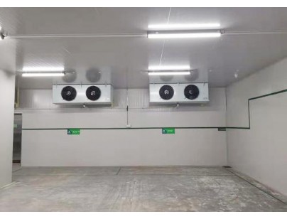 徐州血站95m3醫(yī)藥自動(dòng)化冷庫(kù)工程建造方案