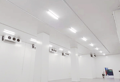 醫(yī)藥冷庫(kù)建造