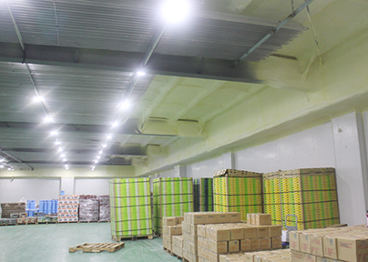 上海松江冷庫(kù)運(yùn)營(yíng)招商出租內(nèi)景展示圖