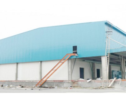 上海西郊國(guó)際農(nóng)產(chǎn)品物流交易中心10800m3果蔬冷庫(kù)工程建造方案