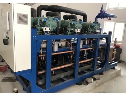 河北周黑鴨食品工業(yè)園物流電商食品加工冷庫工程建造方案