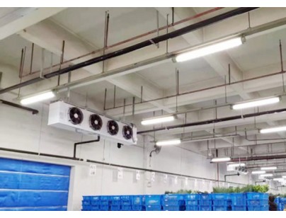 江蘇味門(mén)11686立方0-5℃香料調(diào)味料冷庫(kù)（低溫冷藏庫(kù)）建造方案