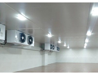 河北尚品（澳門）15000m3倉(cāng)儲(chǔ)物流低溫冷藏冷凍庫(kù)建造方案