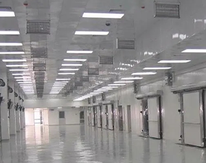 一般大型冷庫(kù)保鮮設(shè)備需要多少錢?