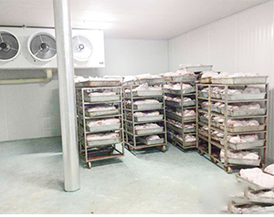 屠宰凍庫造價(jià)標(biāo)準(zhǔn)是多少錢一平方？