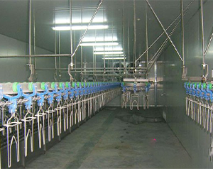 屠宰場生產冷庫預冷間溫度要求是多少？