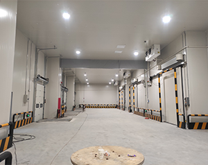 珠海餐廳雙溫冷庫(kù)價(jià)格多少錢一平方？