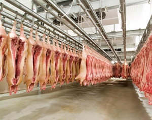 2000立方米食品加工屠宰冷庫(kù)建造價(jià)格及配置清單