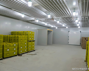 果蔬冷庫一般建多大？100噸蔬菜保鮮冷庫造價(jià)預(yù)算