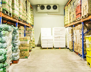 建造果蔬冷鏈物流園冷庫需要投資多少錢？