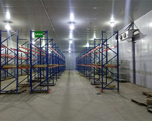 存儲疫苗的醫(yī)療冷庫報價標準多少錢？