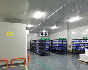 建一個(gè)專業(yè)診斷試劑冷庫造價(jià)費(fèi)用成本多少錢？