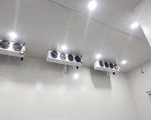 氣調(diào)保鮮冷庫存儲(chǔ)