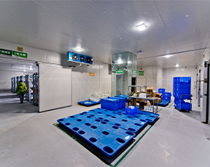 血制品公司建造80立方-25~-30℃血漿冷庫的方案報價？