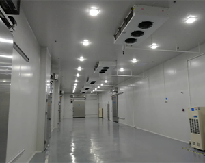 生物樣本冷庫、試劑冷庫建造主要需要哪些設(shè)備？