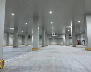 600平多溫醫(yī)藥冷庫一平米安裝價(jià)格是多少？