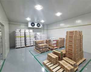 3000㎡醫(yī)藥物流冷庫(kù)（藥品冷鏈恒溫庫(kù)）安裝價(jià)格多少錢(qián)一平米