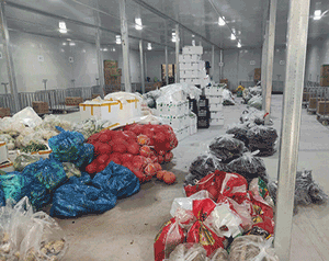 設(shè)計安裝農(nóng)業(yè)冷鏈生態(tài)冷庫造價大概需要投資多少錢？