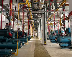 冷庫(kù)車(chē)間自動(dòng)化管理規(guī)范