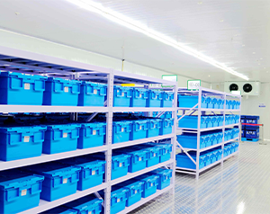 藥品經營企業(yè)庫房中冷庫溫度是多少