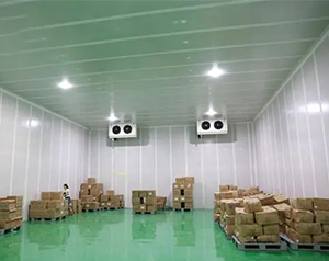 安裝10000m&sup3;生鮮物流冷藏庫（低溫倉庫）建設(shè)廠家收費標(biāo)準(zhǔn)