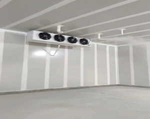 櫻桃、蘋果、臍橙、香梨、葡萄在果蔬氣調(diào)庫建造的溫度是多少？