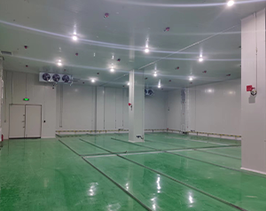 防爆冷庫建造需要多少錢，一立方米防爆庫多少錢？