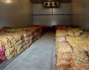 紅薯保鮮庫報(bào)價(jià)單-解讀蔬菜保鮮冷庫造價(jià)的因素？