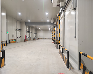 100噸獼猴桃氣調(diào)冷庫造價(jià)需要多少錢？100平方米夠么