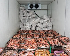 200噸冷庫(kù)造價(jià)_建造200平方米的海鮮冷庫(kù)需要多少錢(qián)