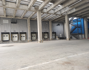 茭白冷庫存放，讓茭白保鮮時間更長