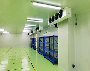 生物制藥工廠倉儲中心冷庫