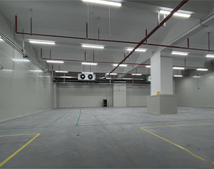 氣調(diào)冷庫建成后如何正確儲存果蔬？