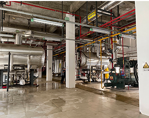 冷庫揀貨自動(dòng)化系統(tǒng)管理