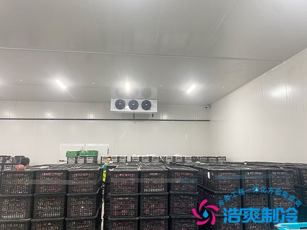 100立方冷凍庫造價(jià)預(yù)算需要多少錢？