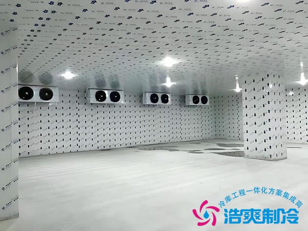 冷庫(kù)建設(shè)多少錢一平方