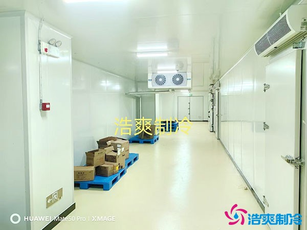 儲(chǔ)存疫苗的企業(yè)獨(dú)立冷庫(kù)有幾個(gè)？生物疫苗冷庫(kù)造價(jià)