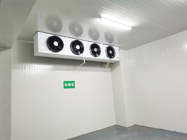 獸用生物制品冷庫面積需要建多大？造價預(yù)算多少錢