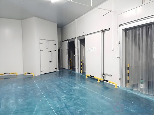 上海生物醫(yī)藥冷庫安裝造價(jià)多少錢？