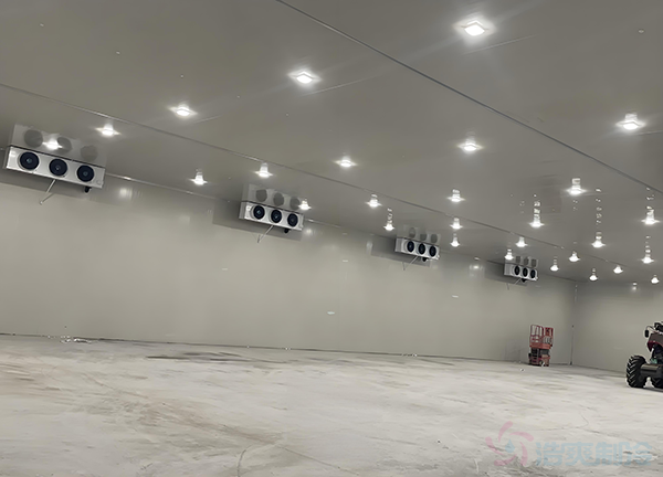 建造一個(gè)天然氣制冷冷庫造價(jià)成本大概多少錢