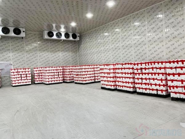 100噸水果保鮮冷庫造價預算大概多少錢？