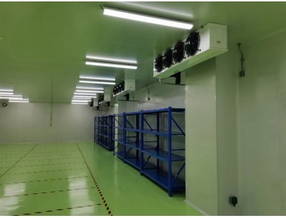 成都康諾亞一橋生物科技公司創(chuàng)新醫(yī)藥冷庫建設(shè)工程案例