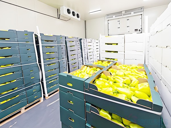 內(nèi)蒙古葡萄氣調(diào)保鮮冷庫