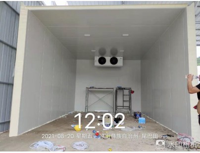 四川桑枝食用菌現(xiàn)代農(nóng)業(yè)園區(qū)氣調(diào)保鮮冷庫(kù)工程建造案例