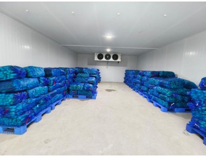 云南保山(食用菌）羊肚菌烘干房設(shè)計(jì)建造案例