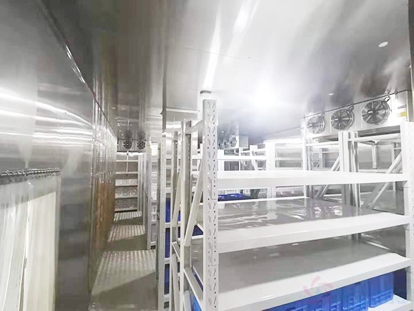 血液超低溫冷庫(kù)建設(shè)