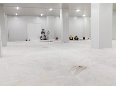 深圳望家歡智慧產(chǎn)業(yè)園一期大型食品冷庫建造工程案例