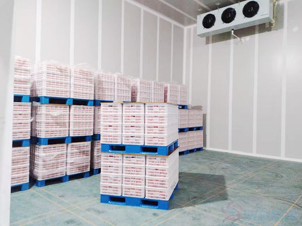 保鮮庫(kù)造價(jià)